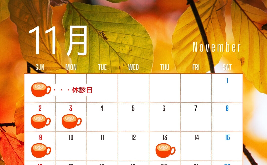 11月の休診日のお知らせ🍂