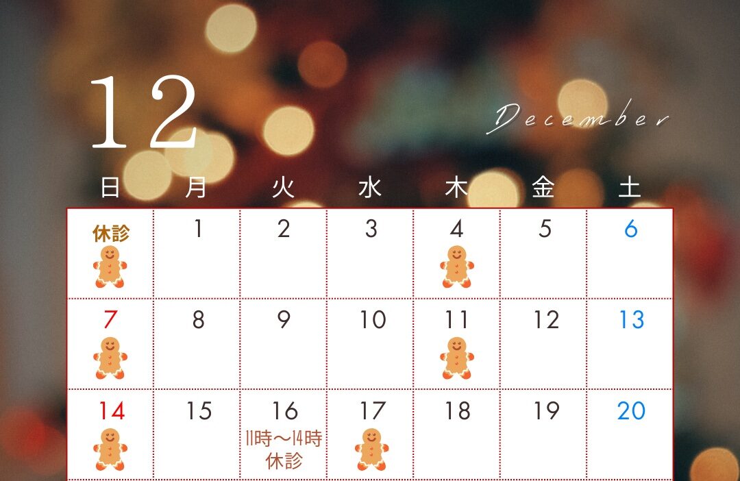 12月の休診日のお知らせ🎄